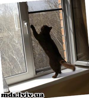 Антимоскітна сітка антикішка на вікна