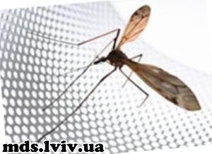 Москітна сітка своїми руками: матеріали, інструменти та повна інструкція