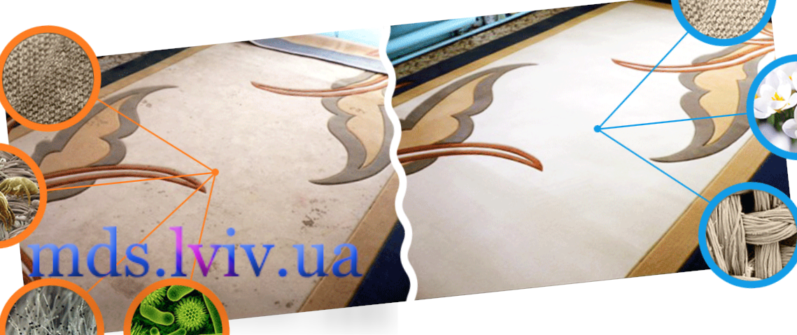 Хімчистка килимів Львів