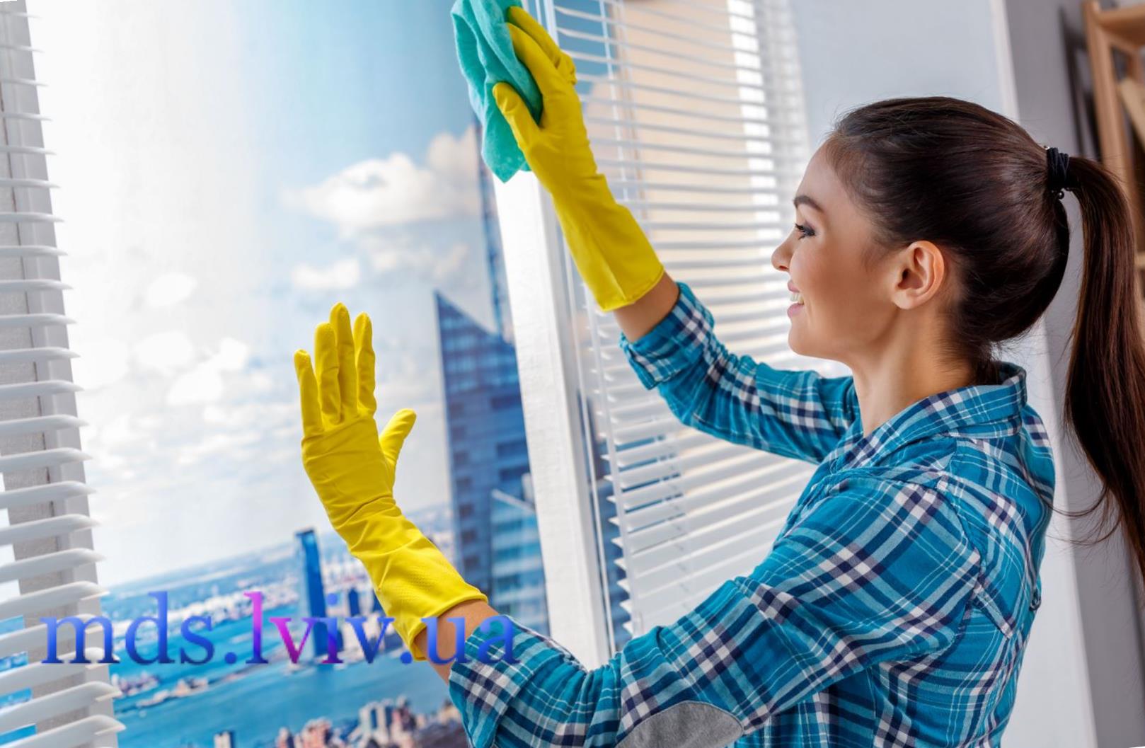 Миття вікон Львів