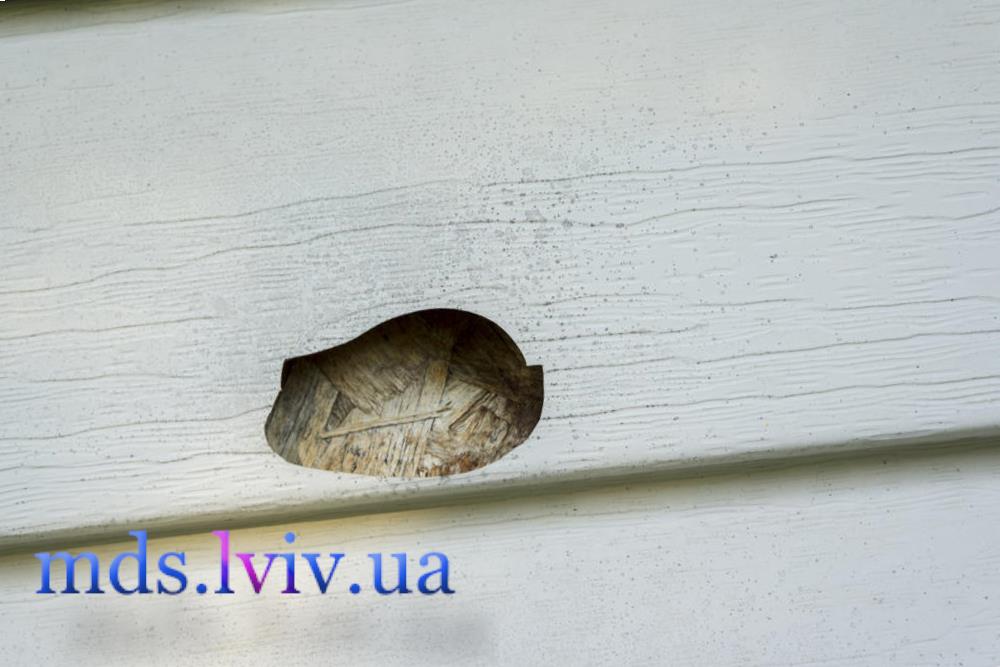 Монтаж сайдингу Львів