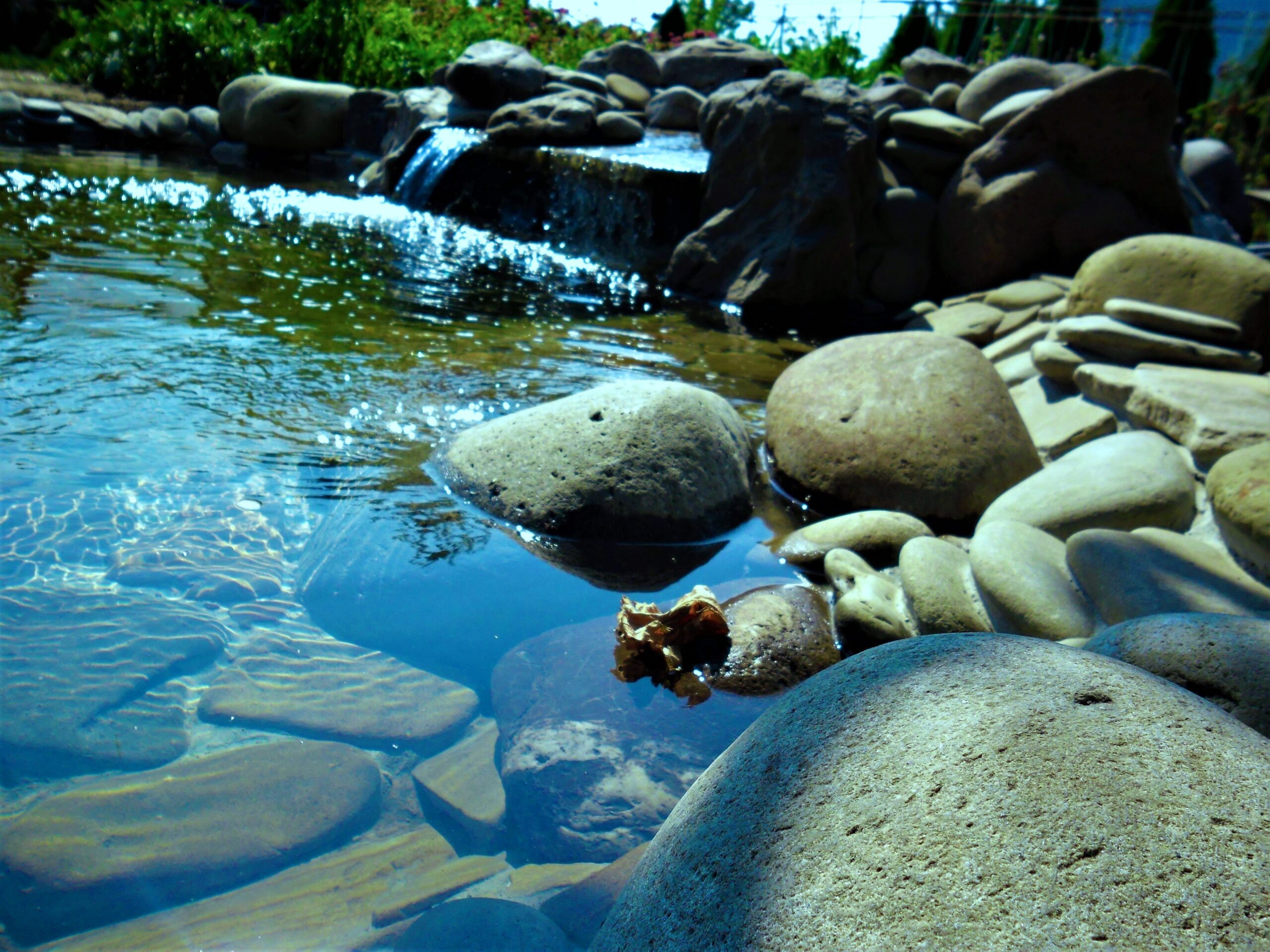 Водні елементи ланшафтного дизайну