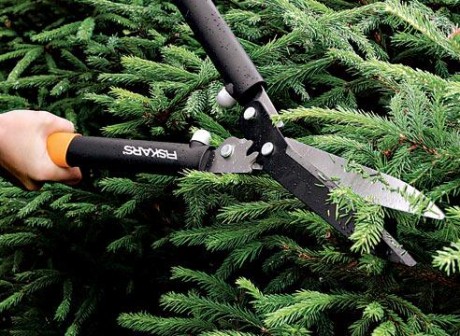 Спил і обрізання  дерев