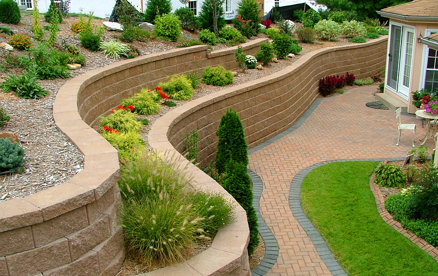 Декоративні чагарники