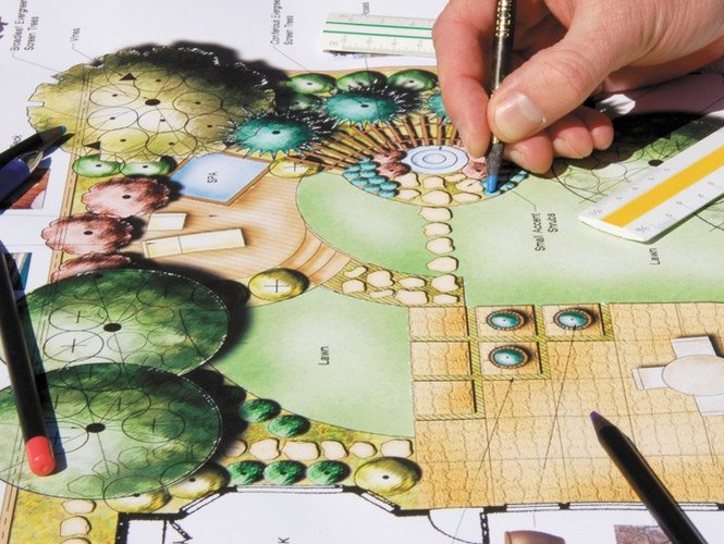 Складання дендроплану і посадкового креслення