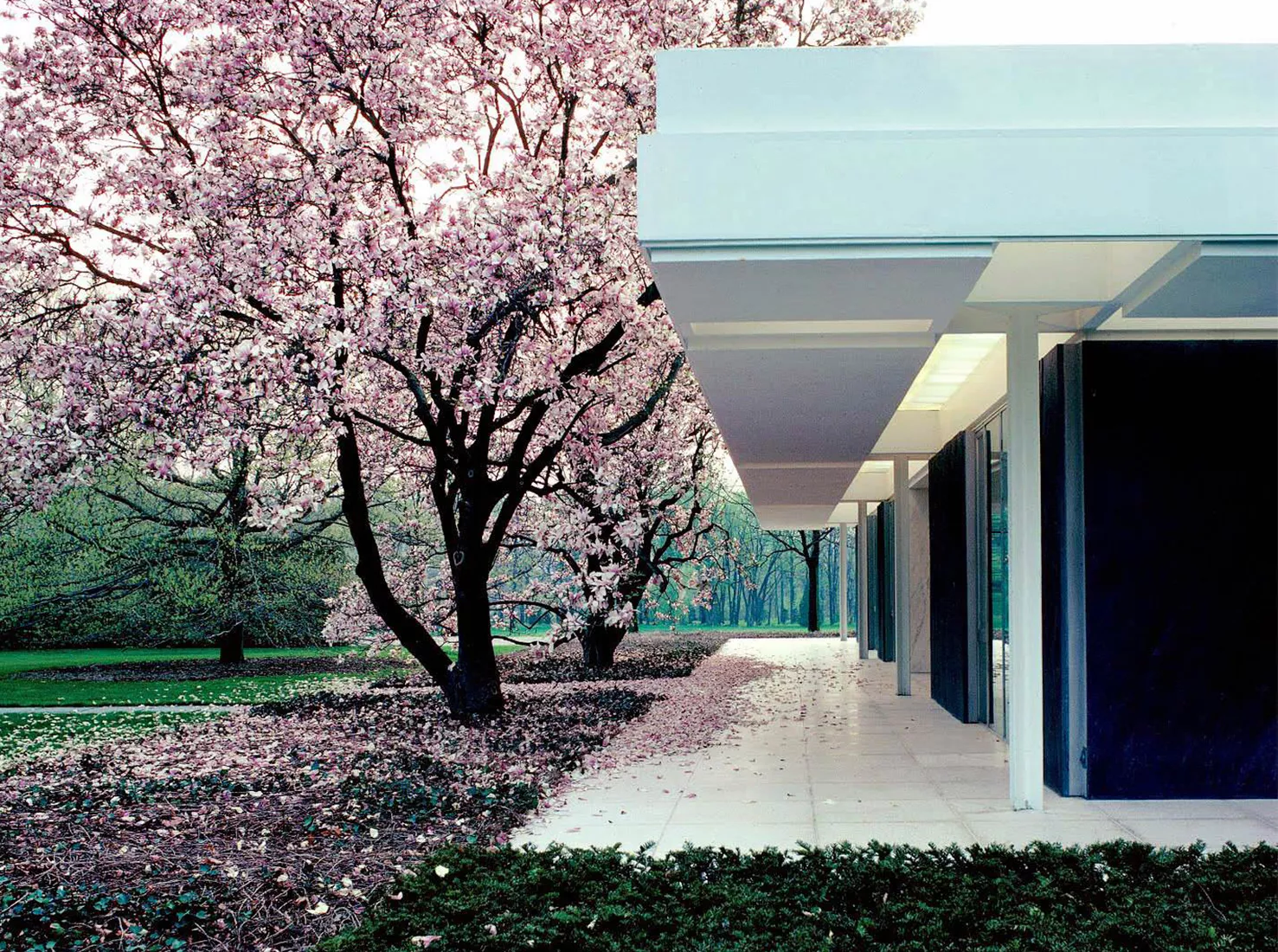 Найкрасивіші будинки світу: добірка з 25 найвідоміших приватних резиденцій