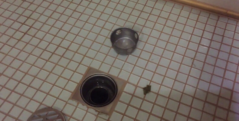 Злив для душової кабіни: огляд + інструкція з монтажу