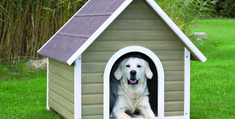 Будка для собаки своїми руками – покрокові інструкції!