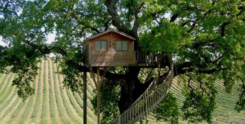 Будиночок на дереві своїми руками – інструкція з будівництва!