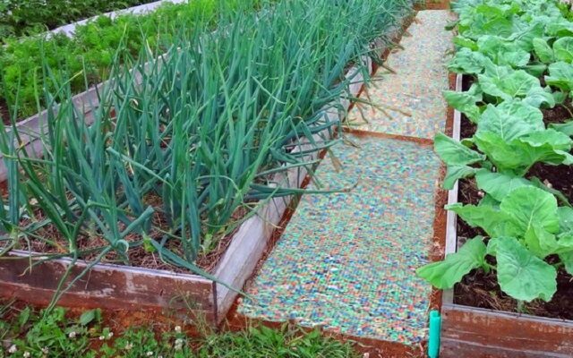 Доріжки між грядками на дачі - доступні варіанти облаштування