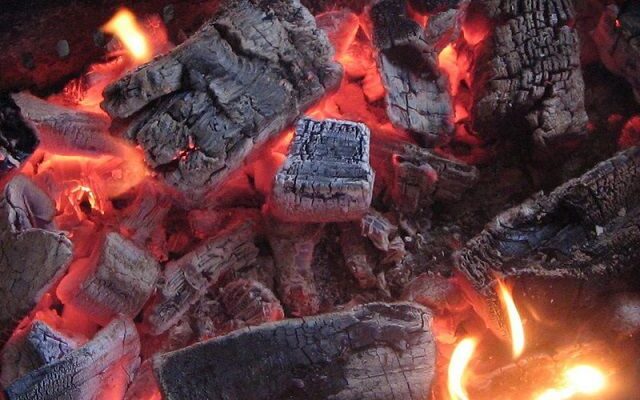 Які дрова краще для опалення – навчитеся вибирати правильно!