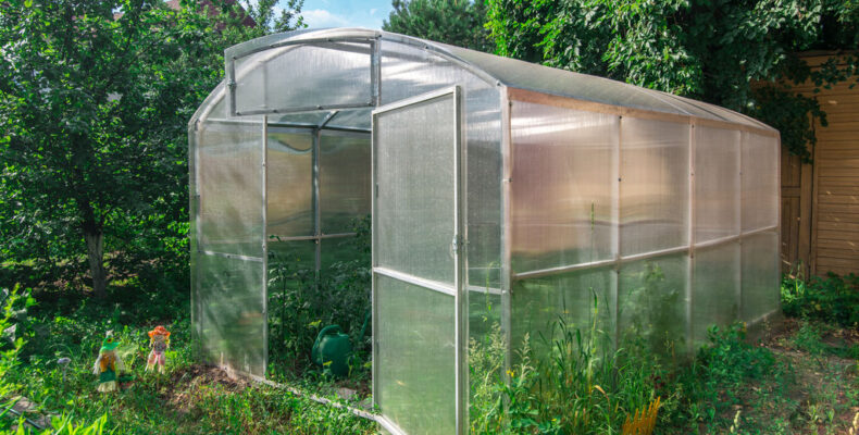 ТОП-13 найкращих парників на дачу: як вибрати, ціни, рейтинг